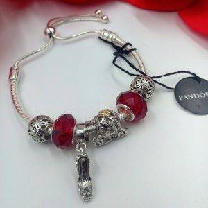 Pandora s925Ale solid silver sliding cz +charms